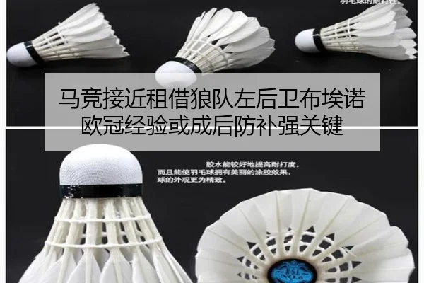 马竞接近租借狼队左后卫布埃诺 欧冠经验或成后防补强关键
